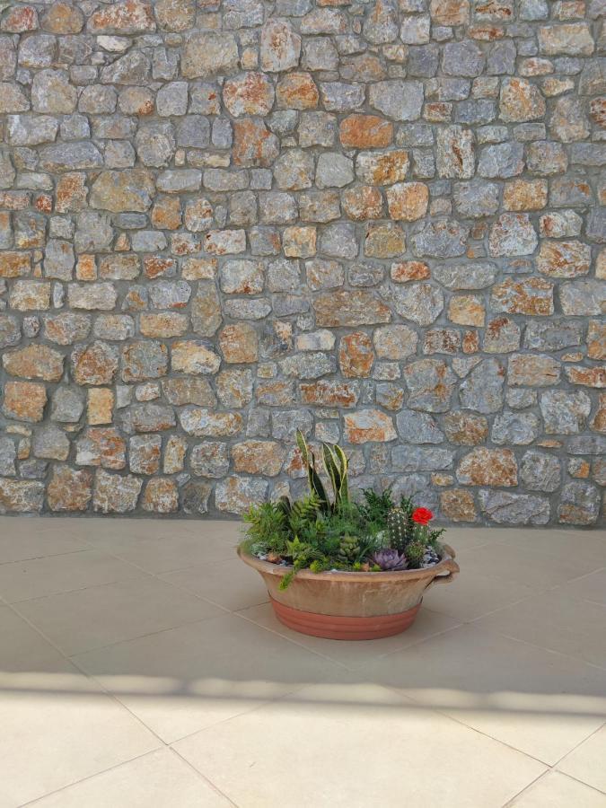 Plaza Hotel Masouri Dış mekan fotoğraf